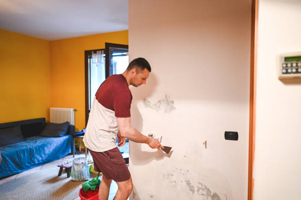 Best Post-Flood Mold Remediation in Schleswig, IA